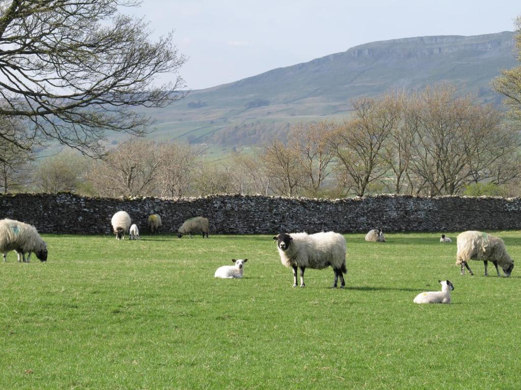 Thornton Lodge Aysgarth Værelse billede